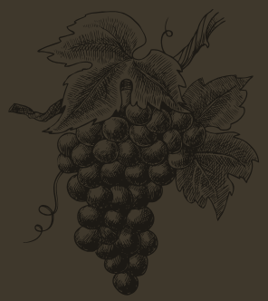 Grape illustration